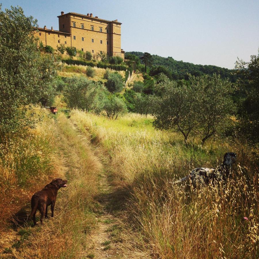 Castello Di Potentino Seggiano Bagian luar foto